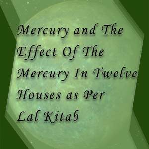 12 houses and mercury